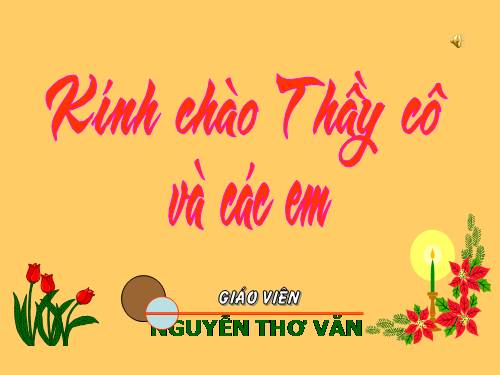 Tuần 23-24. MRVT: Trật tự - An ninh