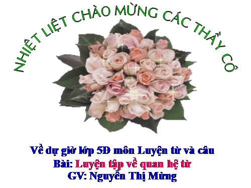 Tuần 12-13. Luyện tập về quan hệ từ