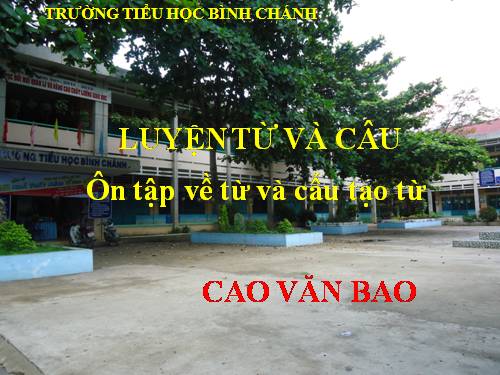 Tuần 17. Ôn tập về từ và cấu tạo từ