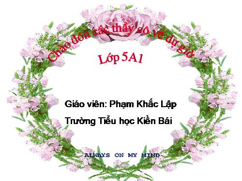 Tuần 15-16. Tổng kết vốn từ