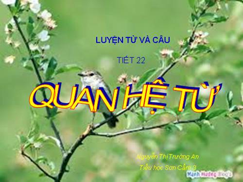 Tuần 11. Quan hệ từ