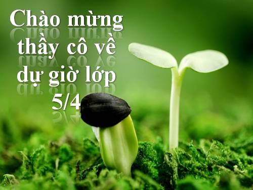 Tuần 12-13. MRVT: Bảo vệ môi trường