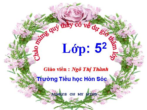 Tuần 12-13. MRVT: Bảo vệ môi trường