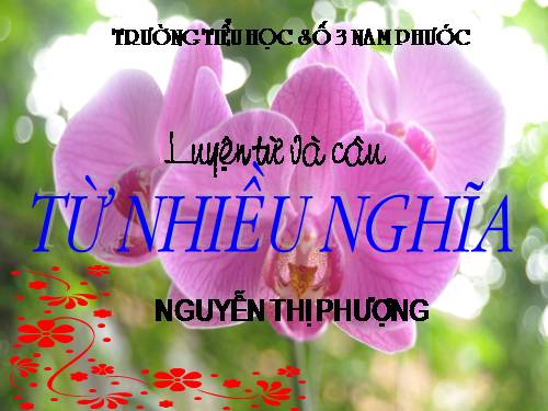 Tuần 7-8. Luyện tập về từ nhiều nghĩa