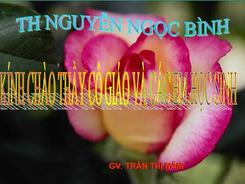 Tuần 12-13. MRVT: Bảo vệ môi trường