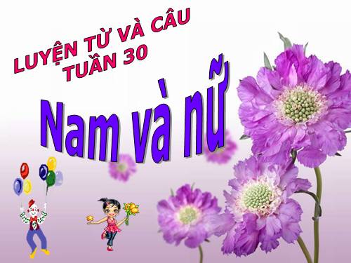 Tuần 30. MRVT: Nam và nữ