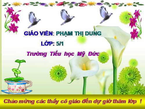 Tuần 30-31-32. Ôn tập về dấu câu (Dấu phẩy)