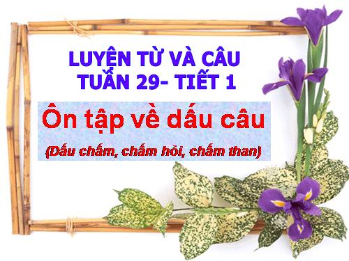 Tuần 29. Ôn tập về dấu câu (Dấu chấm, chấm hỏi, chấm than)