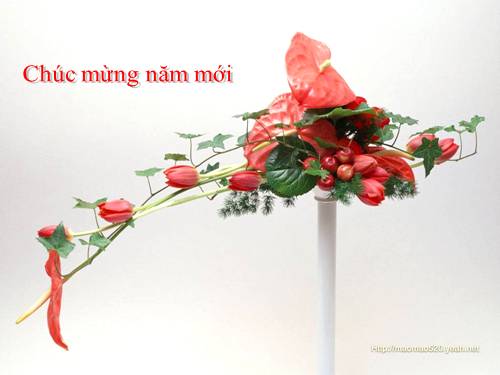 Tuần 20-21-22-23. Nối các vế câu ghép bằng quan hệ từ