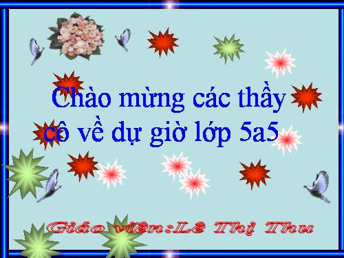 Tuần 8-9. MRVT: Thiên nhiên