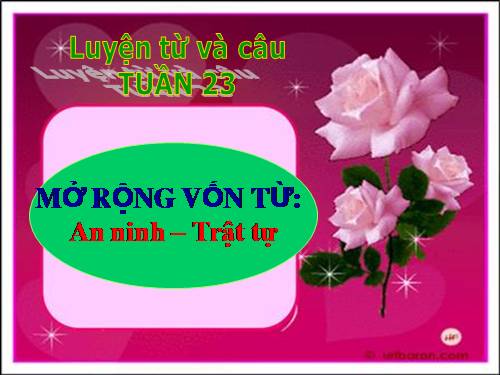 Tuần 23-24. MRVT: Trật tự - An ninh