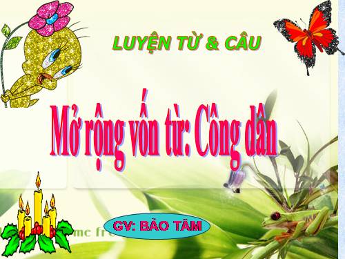 Tuần 20-21. MRVT: Công dân