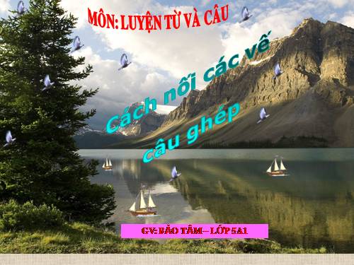 Tuần 19. Cách nối các vế câu ghép