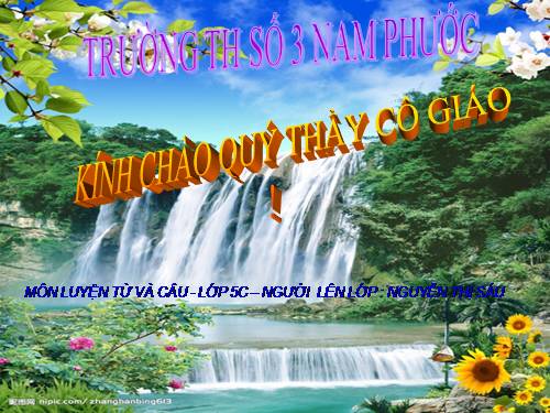 Tuần 17. Ôn tập về từ và cấu tạo từ