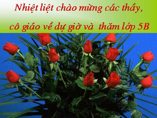 Tuần 4. Từ trái nghĩa