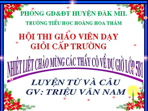 Tuần 14. Ôn tập về từ loại