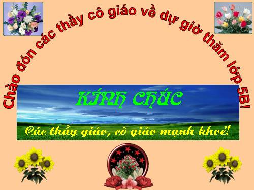 Tuần 7-8. Luyện tập về từ nhiều nghĩa