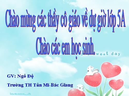 Tuần 23-24. MRVT: Trật tự - An ninh