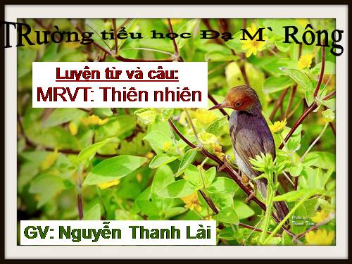 Tuần 8-9. MRVT: Thiên nhiên