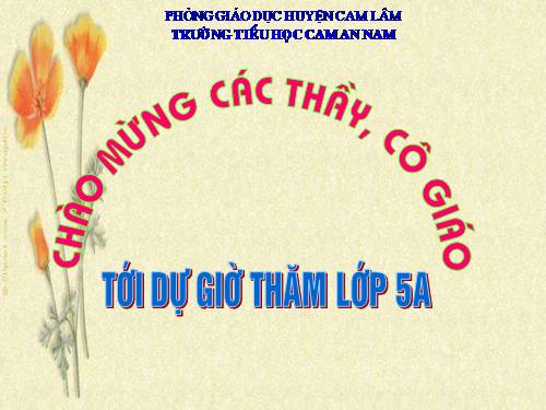 Tuần 19. Câu ghép