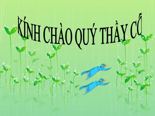 Tuần 30. MRVT: Nam và nữ
