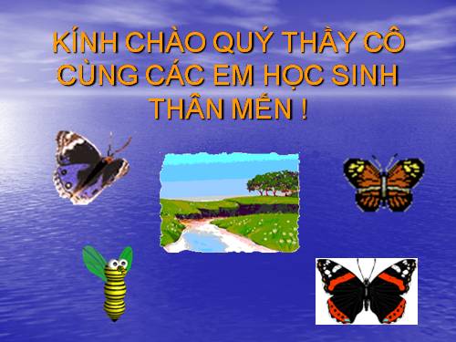 Tuần 4. Luyện tập về từ trái nghĩa