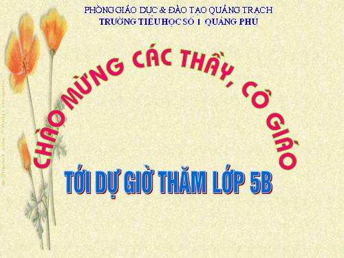 Tuần 19. Câu ghép
