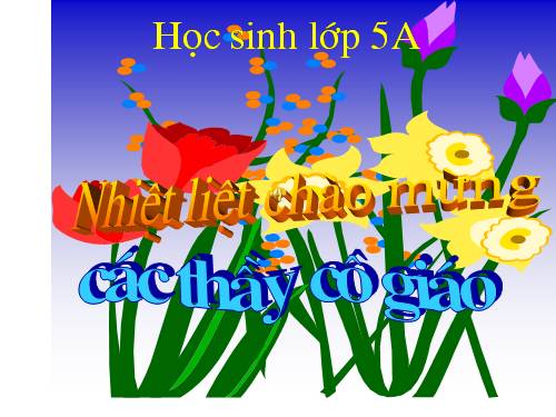 Tuần 8-9. MRVT: Thiên nhiên