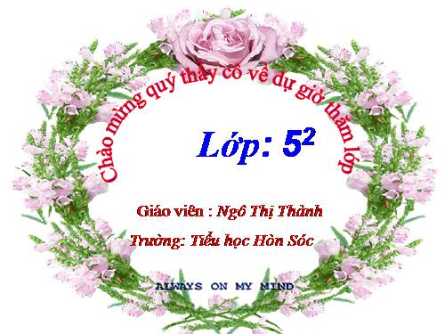 Tuần 12-13. MRVT: Bảo vệ môi trường