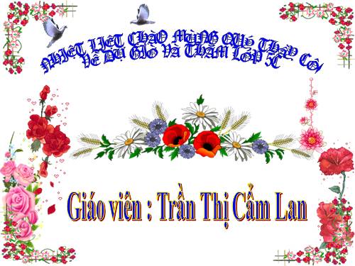 Tuần 14. Ôn tập về từ loại