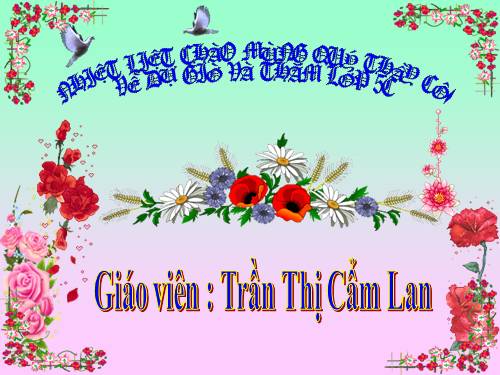 Tuần 14. Ôn tập về từ loại