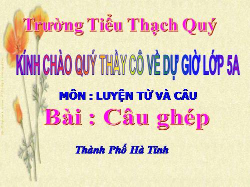 Tuần 19. Câu ghép