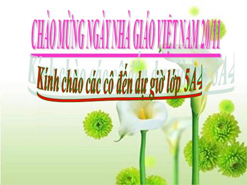 Tuần 14. Ôn tập về từ loại