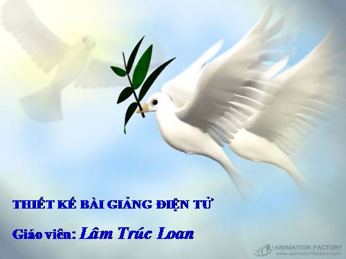Tuần 5. MRVT: Hoà bình