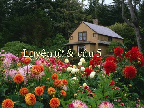 Tuần 4. Luyện tập về từ trái nghĩa