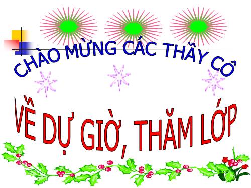 Tuần 23-24. MRVT: Trật tự - An ninh