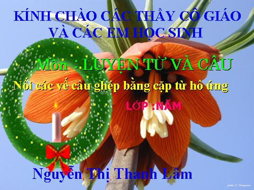 Tuần 24. Nối các vế câu ghép bằng cặp từ hô ứng