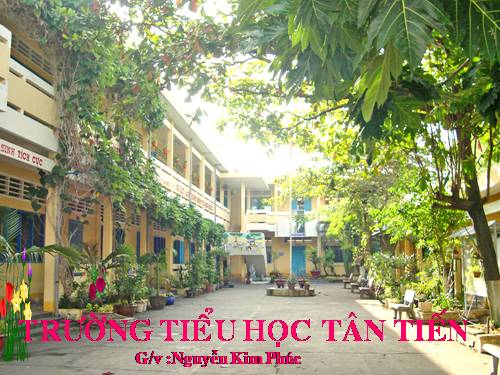 Tuần 8-9. MRVT: Thiên nhiên