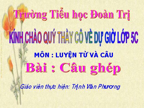 Tuần 19. Câu ghép