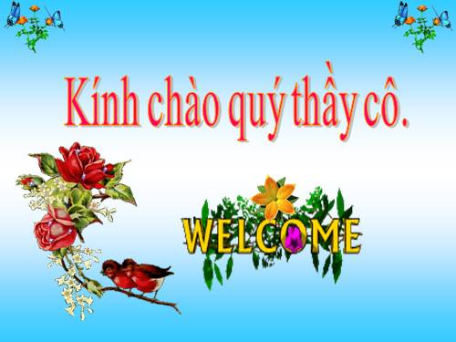 Tuần 20-21-22-23. Nối các vế câu ghép bằng quan hệ từ
