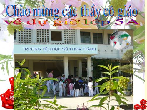 Tuần 12-13. Luyện tập về quan hệ từ
