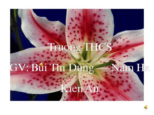 Tuần 4. Từ trái nghĩa