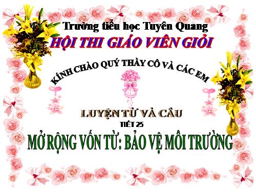 Tuần 12-13. MRVT: Bảo vệ môi trường