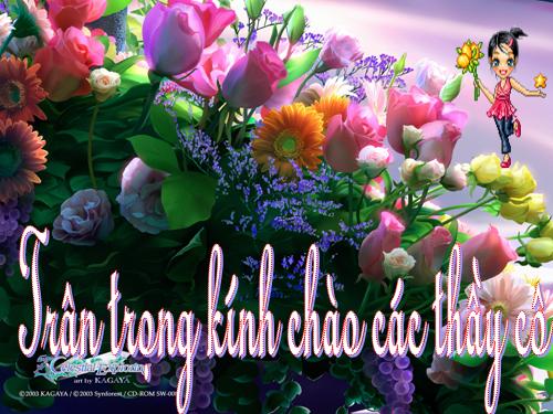 Tuần 6. Dùng từ đồng âm để chơi chữ