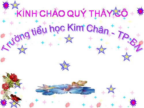 Tuần 15-16. Tổng kết vốn từ