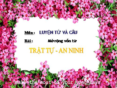 Tuần 23-24. MRVT: Trật tự - An ninh