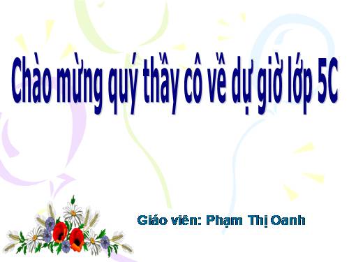 Tuần 23-24. MRVT: Trật tự - An ninh