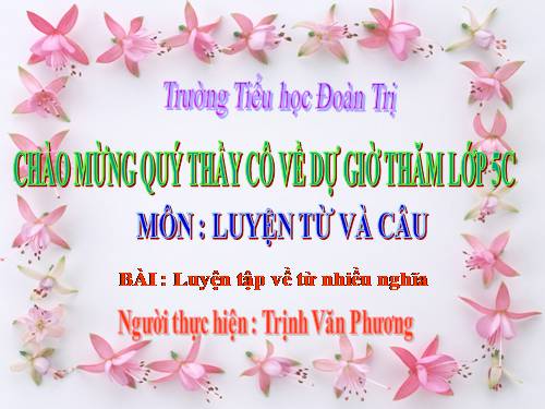 Tuần 7-8. Luyện tập về từ nhiều nghĩa