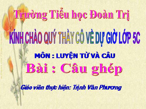 Tuần 19. Câu ghép