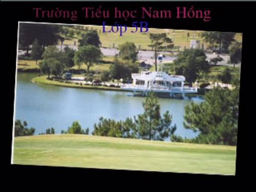 Tuần 20-21-22-23. Nối các vế câu ghép bằng quan hệ từ